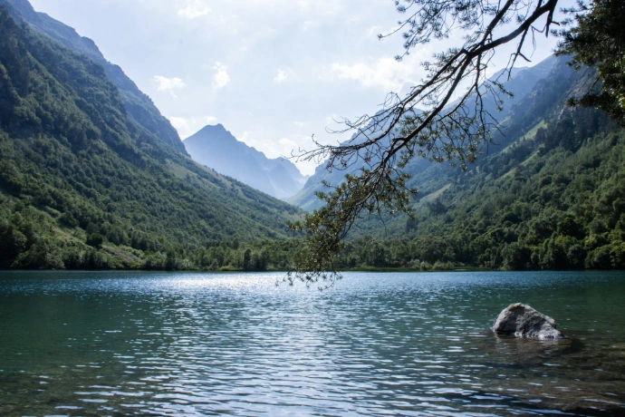 a body of water surrounded by mountains and trees